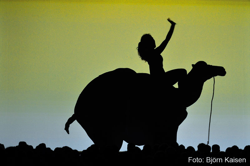Musical, Queen und Schattenspiele, Veranstaltungen 2017 Bild von: Musical, Queen und Schattenspiele, Veranstaltungen 2017